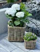 FeWo Familie Pflüger FeWo Familie Pflüger