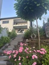 FeWo Familie Pflüger FeWo Familie Pflüger