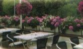 Terrasse Terrasse