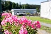 Camping La Hêtraie
