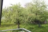 Ferienwohnungen im Obstgarten