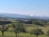 Ferienwohnung Allgäu Glück Simon