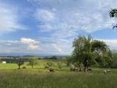 Ferienwohnung Allgäu Glück Simon