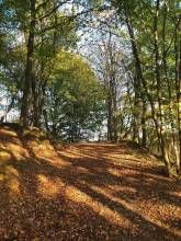 Ferienwohnung Am Schwarzen See