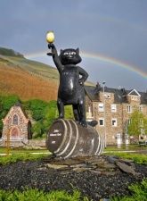 Die Zeller Schwarze Katz Die Zeller Schwarze Katz