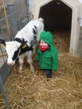 Familienurlaub Steinackerhof Familienurlaub Steinackerhof