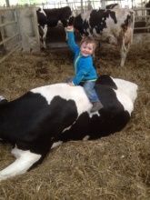 Familienurlaub Steinackerhof Familienurlaub Steinackerhof