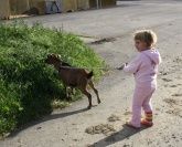 Familienurlaub Steinackerhof Familienurlaub Steinackerhof