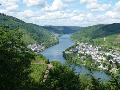 Blick von der Burg über die Mosel