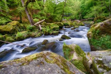 Irreler Wasserfälle