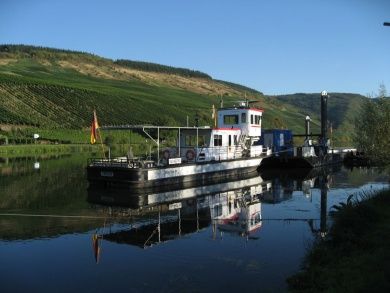 CARPE DIEM - Mosel - Gästezimmer & FeWo