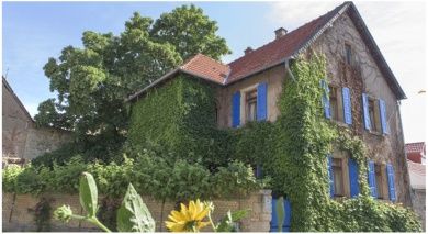 Gästehaus Rabennest im Winzerhof Koehler - Alzey