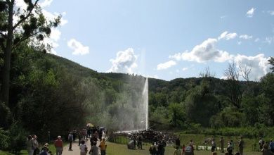 Geysir Andernach