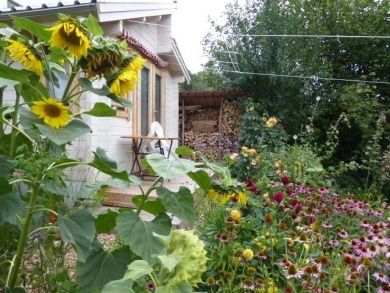 Spätsommer vor dem Tiny House am Blumenmeer