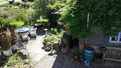 Ferienwohnung Forsthaus Ferien