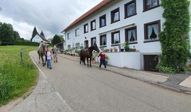 Gästehaus Wilder Mann