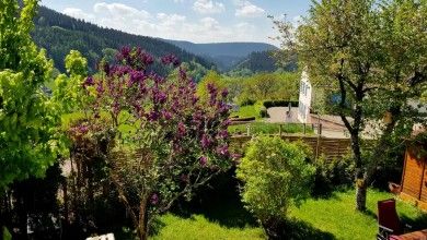 Große Wohnung mit Balkon Sulzbergblick