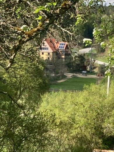 Ferienwohnung Dachsmühle - Natur und Tiere - Toll für Kinder und Wanderer. Hunde erlaubt