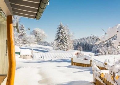 Ferienhaus Apfelbäumchen Hochschwarzwald