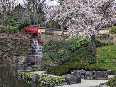 Japanischer Garten Kaiserslautern