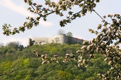 Burgruine Hohenneuffen
