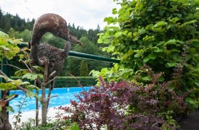 Camping Carpe Diem Wildberg