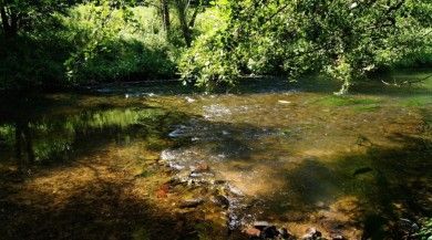 Camping Carpe Diem Wildberg