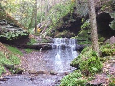 Camping Carpe Diem Wildberg