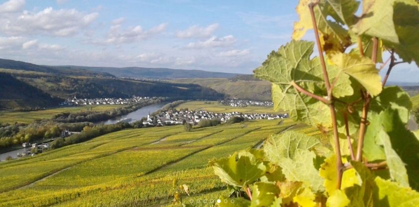 Weingut, Gästezimmer und Ferienwohnung Jörg Thul