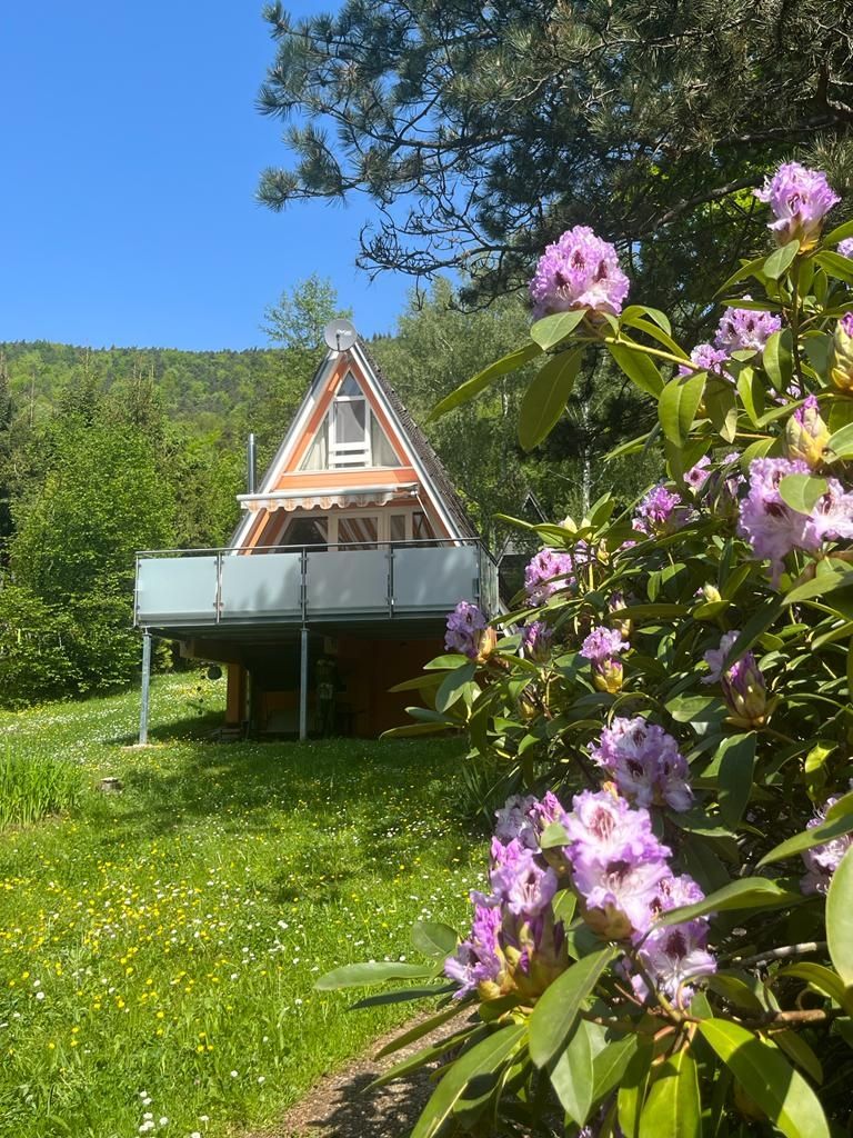 Frühling
