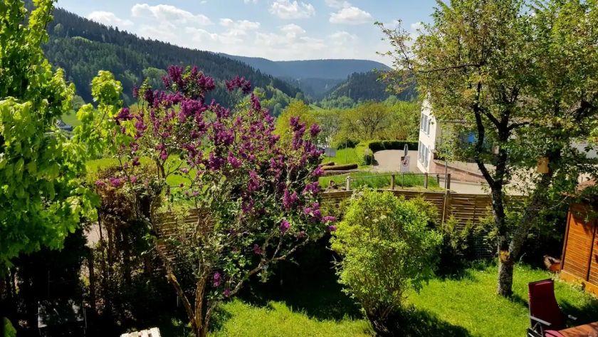 Große Wohnung mit Balkon Sulzbergblick
