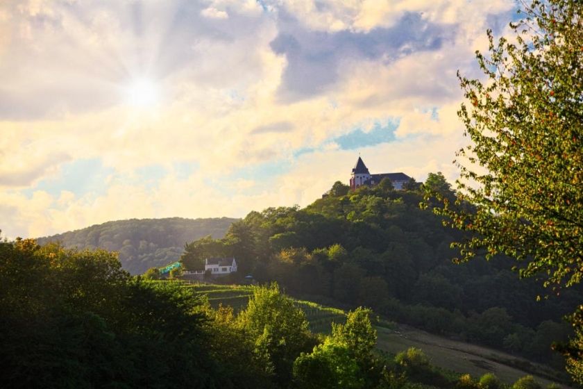 Hotel-Weinhaus Mayer