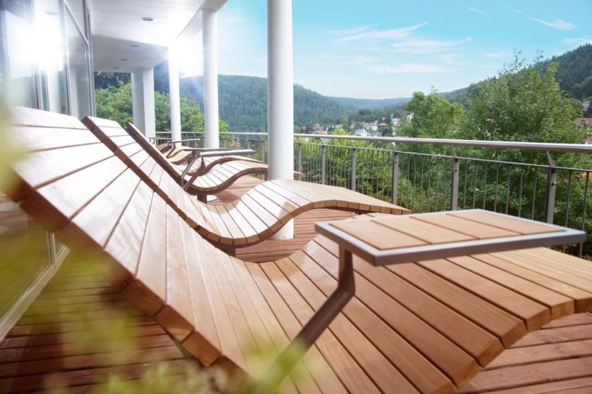 SCHWARZWALD PANORAMA