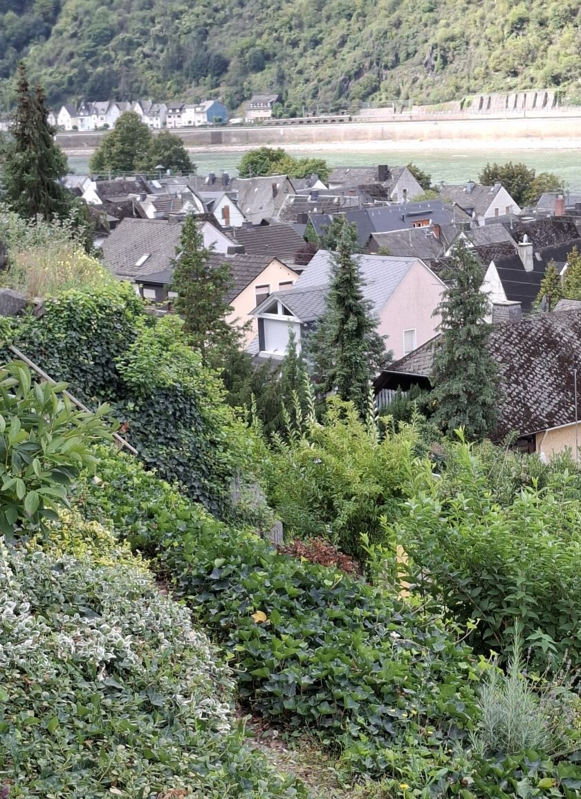 Blick über Kestert Blick über Kestert