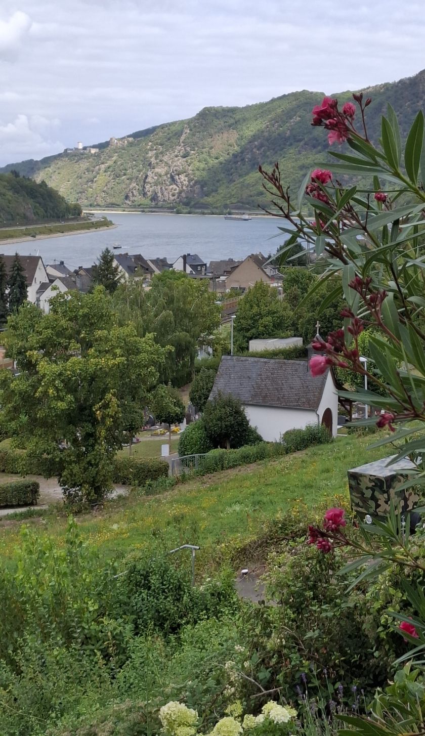 Blick zu den Burgen Blick zu den Burgen