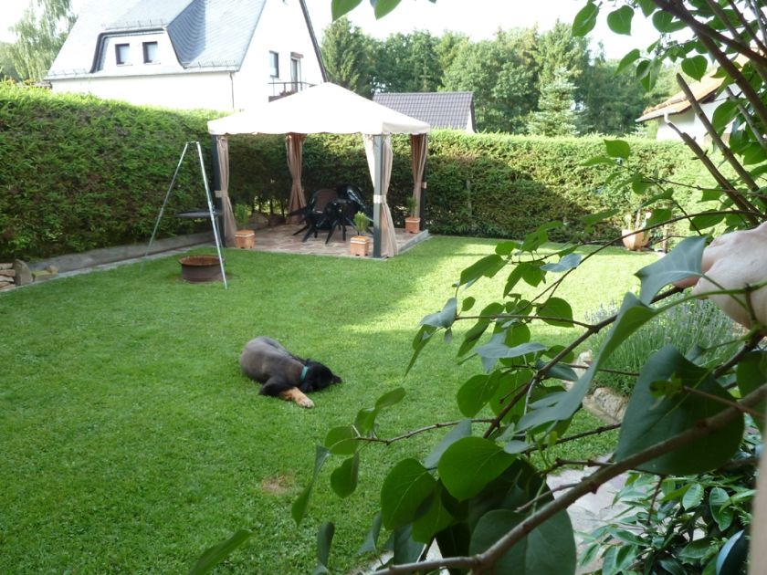 Ferienwohnung Feenhaus * Urlaub im Hunsrücker Idarwald
