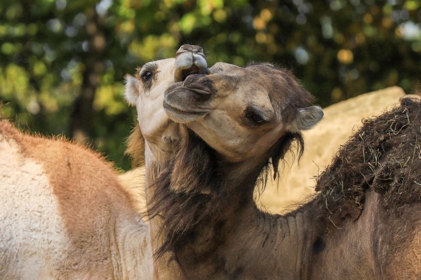 Freizeitpark Rotfelden