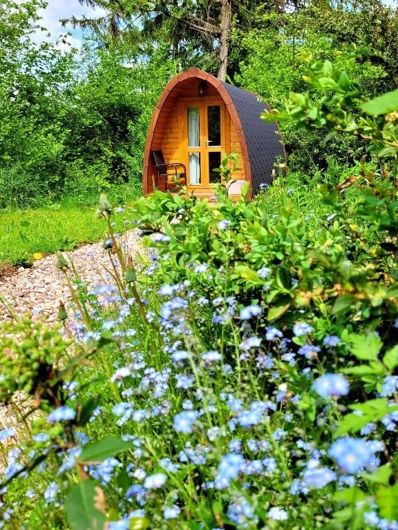 PODs Alte Schule