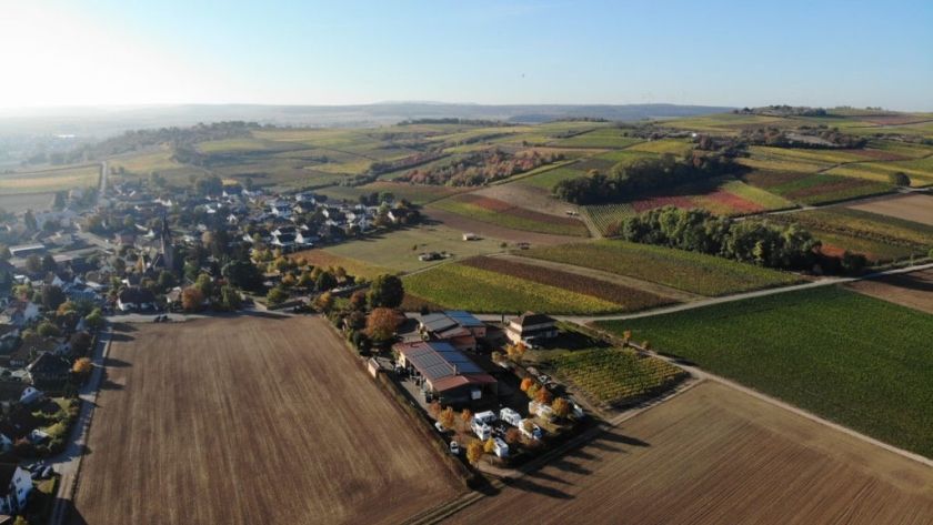 Weingut Sommer Weingut Sommer