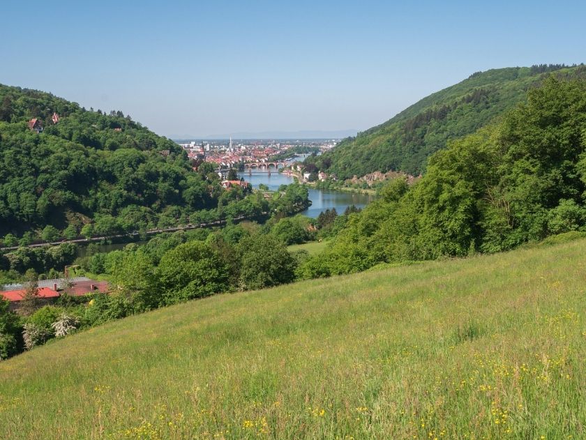 Königstuhl 