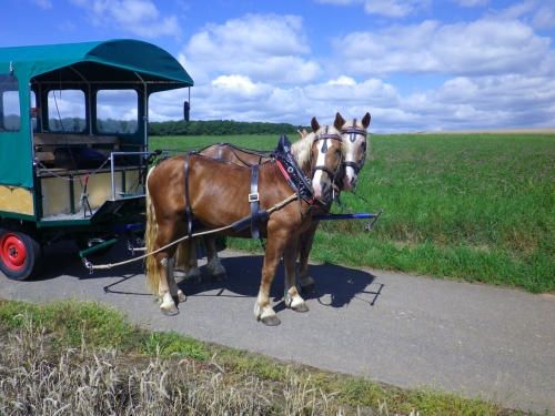 Hotel & Restaurant Reckweilerhof Hotel & Restaurant Reckweilerhof