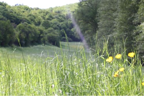 Hotel & Restaurant Reckweilerhof Hotel & Restaurant Reckweilerhof