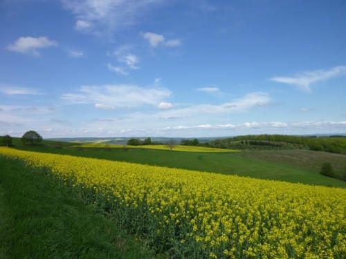 Hotel & Restaurant Reckweilerhof Hotel & Restaurant Reckweilerhof