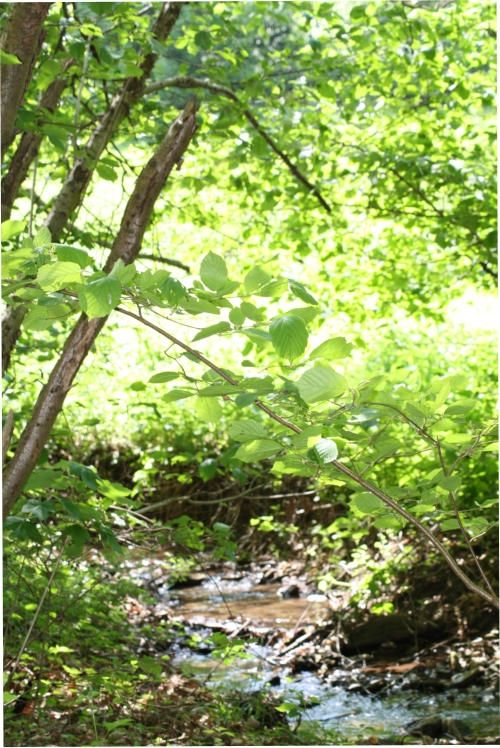 Hotel & Restaurant Reckweilerhof Hotel & Restaurant Reckweilerhof