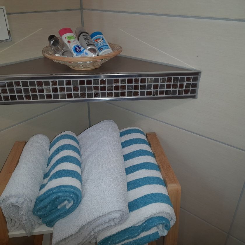 ebenerdiger Duscheinstieg ebenerdiger Duscheinstieg