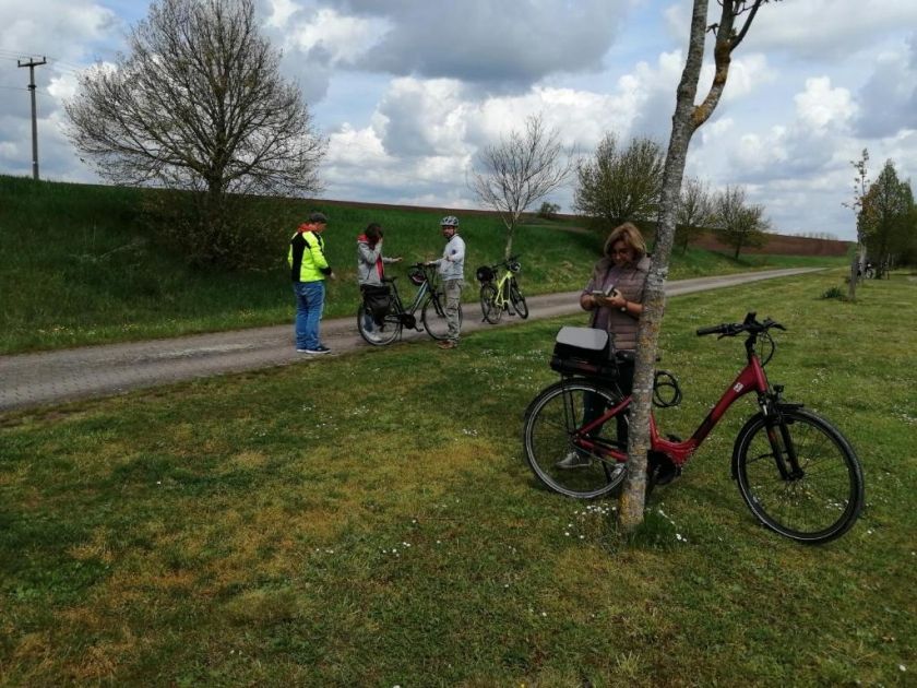 Ferienwohnungen Waldmann