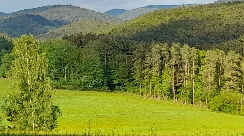 Hotel Felsengarten ***superior