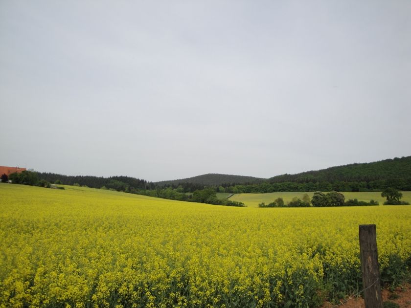 Campingplatz Ochsenbusch Park Campingplatz Ochsenbusch Park