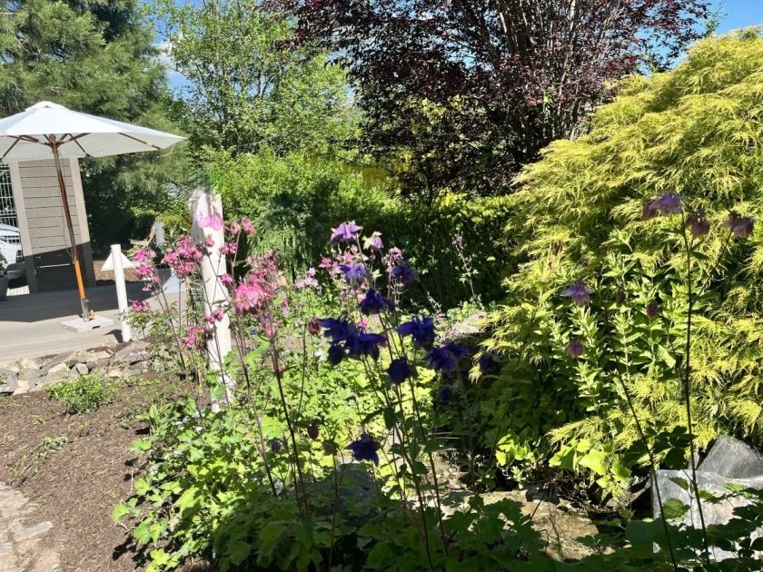 Urlaub für Körper und Geist - Ferienwohnung 