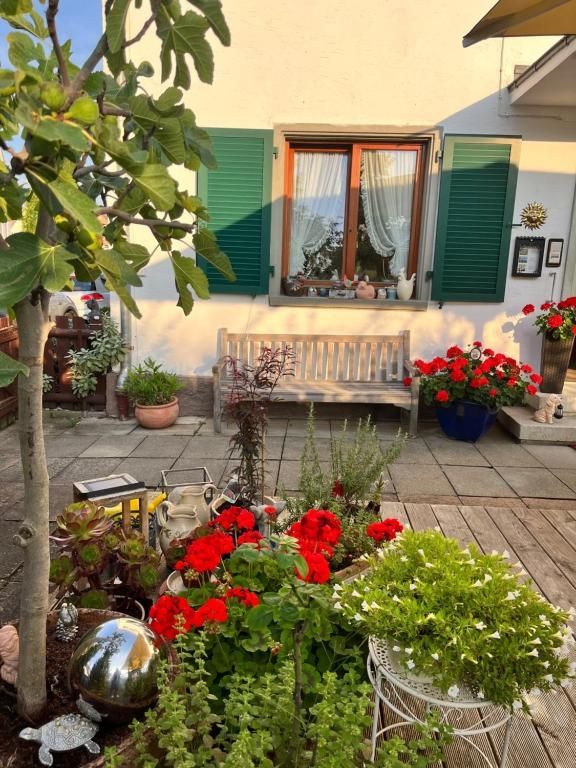 Hotel Sommerhaus Garni am See